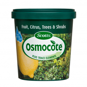 Scotts Osmocote® Controlled Release Fertiliser: Fruit, Citrus, Trees & Shrubs  main image