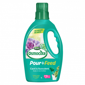 Scotts Osmocote® Pour+Feed Cacti & Succulents Liquid Fertiliser  main image