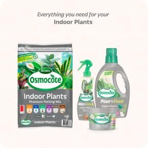 Scotts Osmocote Premium Potting Mix for Indoor Plants image 6