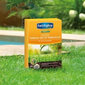 Graines de gazon à semer plein soleil pour création botanic® - 1 kg :  Semences de gazon BOTANIC jardin - botanic®