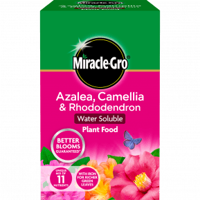 Miracle-Gro® Azalea, Camellia & Rhododendron Soluble Plant Food main image