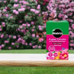 Miracle-Gro® Azalea, Camellia & Rhododendron Soluble Plant Food image 2
