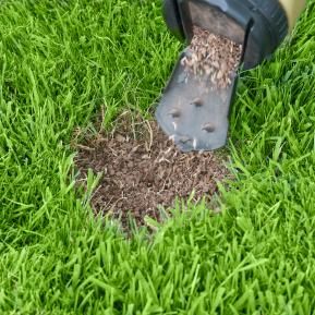 Miracle gro shop patch magic