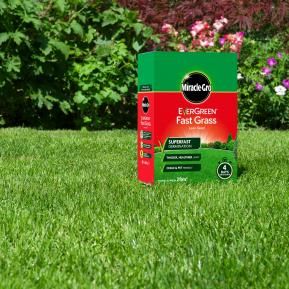 Miracle-Gro® EverGreen® Fast Grass Lawn Seed image 2