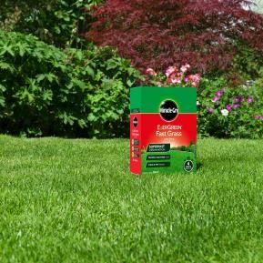 Miracle-Gro® EverGreen® Fast Grass Lawn Seed image 2