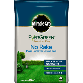 Miracle-Gro® EverGreen® Premium Plus No Rake Moss Remover Lawn Food main image