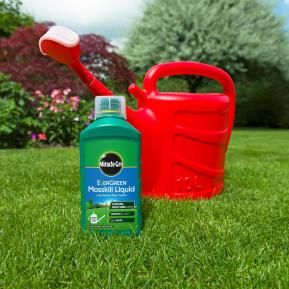 Green outlet lawn spray