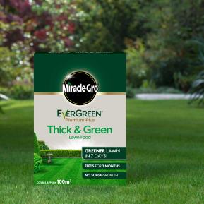 Miracle-Gro® EverGreen® Premium Plus Thick & Green Lawn Food image 2
