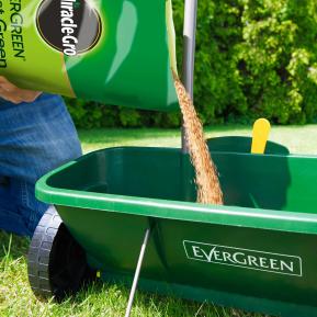 Miracle-Gro® EverGreen® Fast Green image 2