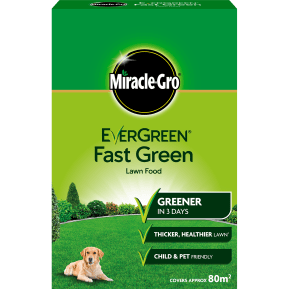 Miracle-Gro® EverGreen® Fast Green main image