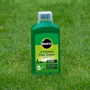 Miracle-Gro® EverGreen® Fast Green Liquid Concentrate image 2