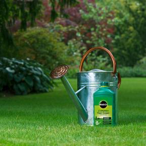 Miracle-Gro® EverGreen® Fast Green Liquid Concentrate image 3