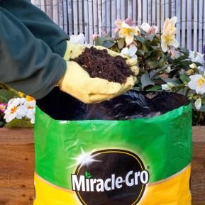 Miracle-Gro® Premium All Purpose Compost image 2