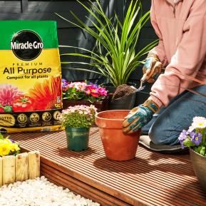 Miracle-Gro® Premium All Purpose Compost image 3