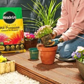 Miracle-Gro® Premium All Purpose Compost image 4