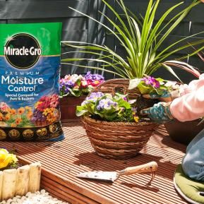 Miracle-Gro® Premium Moisture Control Compost for Pots & Baskets image 3