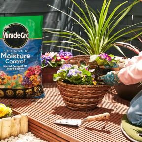 Miracle-Gro® Premium Moisture Control Compost for Pots & Baskets image 4