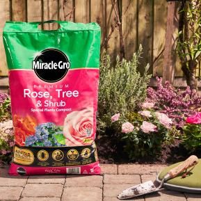 Miracle-Gro® Premium Rose, Tree & Shrub Compost image 4
