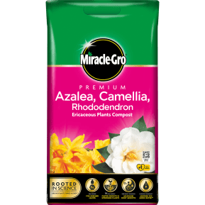 Miracle-Gro® Premium Azalea, Camellia & Rhododendron Ericaceous Compost main image