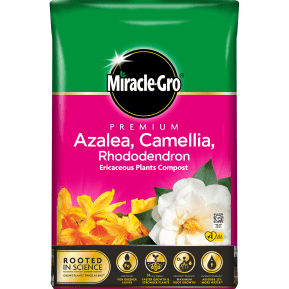 Miracle-Gro® Premium Azalea, Camellia & Rhododendron Ericaceous Compost main image