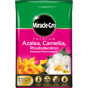 Miracle-Gro® Premium Azalea, Camellia & Rhododendron Ericaceous Compost main image