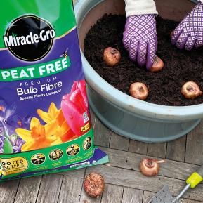 Miracle-Gro® Peat Free Premium Bulb Fibre Compost image 3