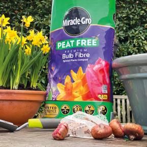 Miracle-Gro® Peat Free Premium Bulb Fibre Compost image 4