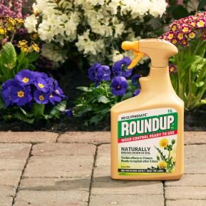 Roundup® NL Weed Control Ready to Use image 3