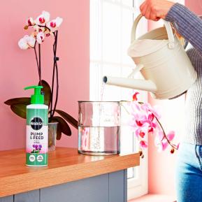 Miracle-Gro® Pump & Feed Orchid image 2