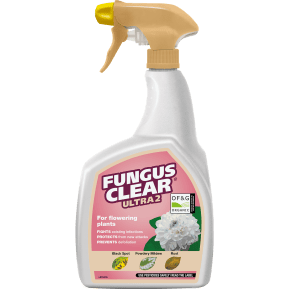 FungusClear® Ultra 2 main image