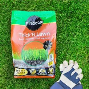 Miracle-Gro® Thick’R Lawn image 3