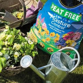 Miracle-Gro® Peat Free Premium Moisture Control Compost for Pots & Baskets image 4