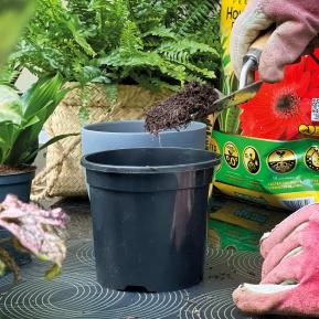 Miracle-Gro® Peat Free Premium Houseplant Potting Mix image 3