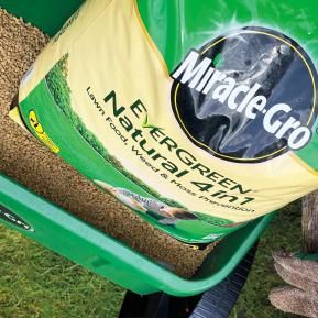 Lawn feed online miracle gro