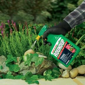 Roundup® Tough Ready to Use Weedkiller image 2