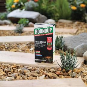Roundup® Tree Stump Weedkiller image 3