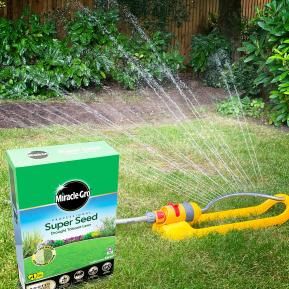 Miracle-Gro® Professional Super Seed Drought Tolerant Lawn image 4