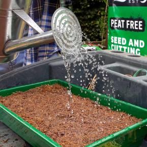 Levington® Peat Free Seed & Cutting Compost image 3