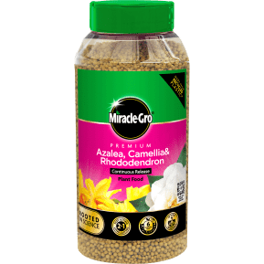 Miracle-Gro® Premium Azalea, Camellia & Rhododendron Continuous Release Plant Food main image
