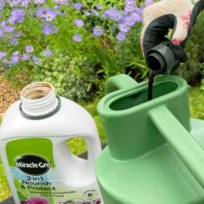 Miracle-Gro® 2 in 1 Nourish & Protect Seaweed Plant Food image 2