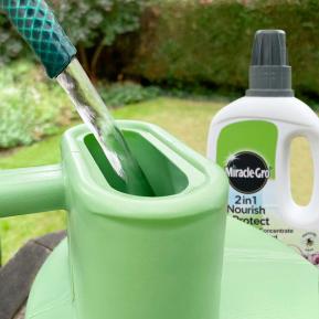 Miracle-Gro® 2 in 1 Nourish & Protect Seaweed Plant Food image 3