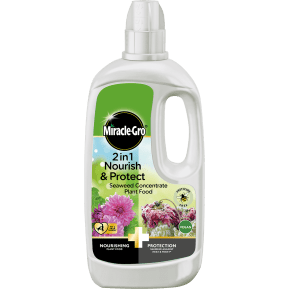 Miracle-Gro® 2 in 1 Nourish & Protect Seaweed Plant Food main image