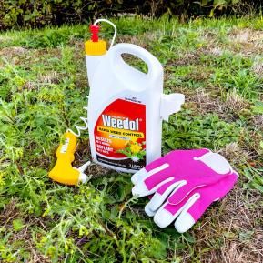 Weedol® Rapid Weed Control (Ready to Use) image 3