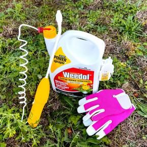 Weedol® Rapid Weed Control (Ready to Use) image 4