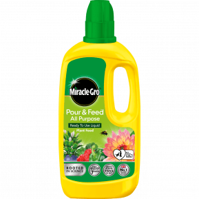 Miracle-Gro® Pour & Feed™ Ready to Use Plant Food main image