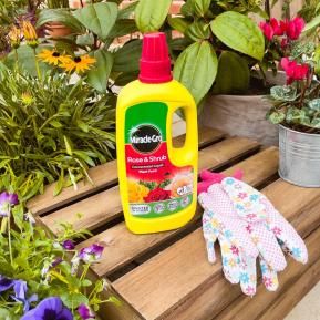 Miracle-Gro® Rose & Shrub Concentrated Liquid Plant Food image 4