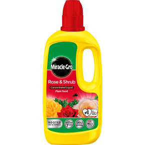 Miracle-Gro® Rose & Shrub Concentrated Liquid Plant Food main image