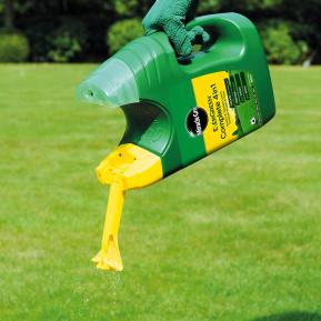 Weed and top feed spreader