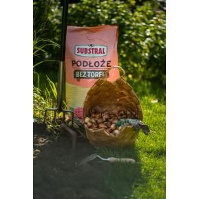 SUBSTRAL Gotowe podłoże bez torfu image 3