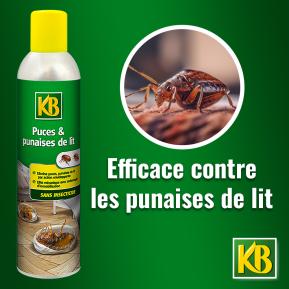KB puces et punaises de lit sans insecticide aérosol image 2